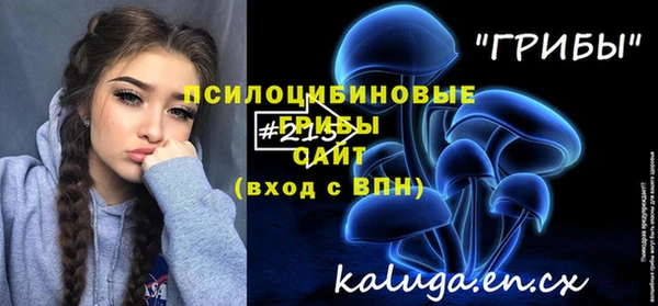стафф Карталы